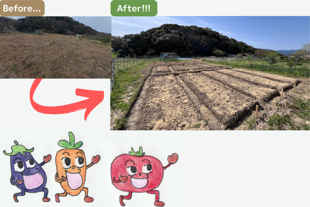 草が生い茂った耕作放棄地が貸し農園に生まれ変わった様子。