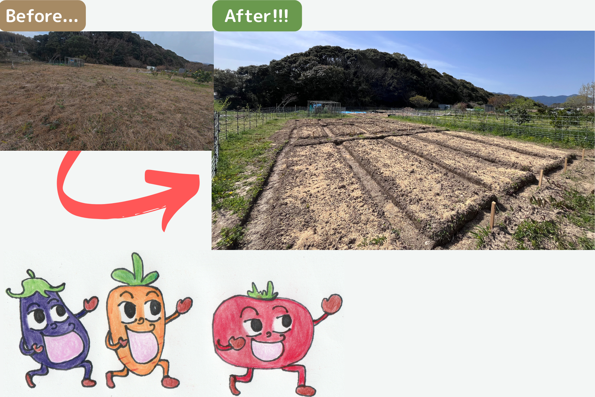 草が生い茂った耕作放棄地が貸し農園に生まれ変わった様子。