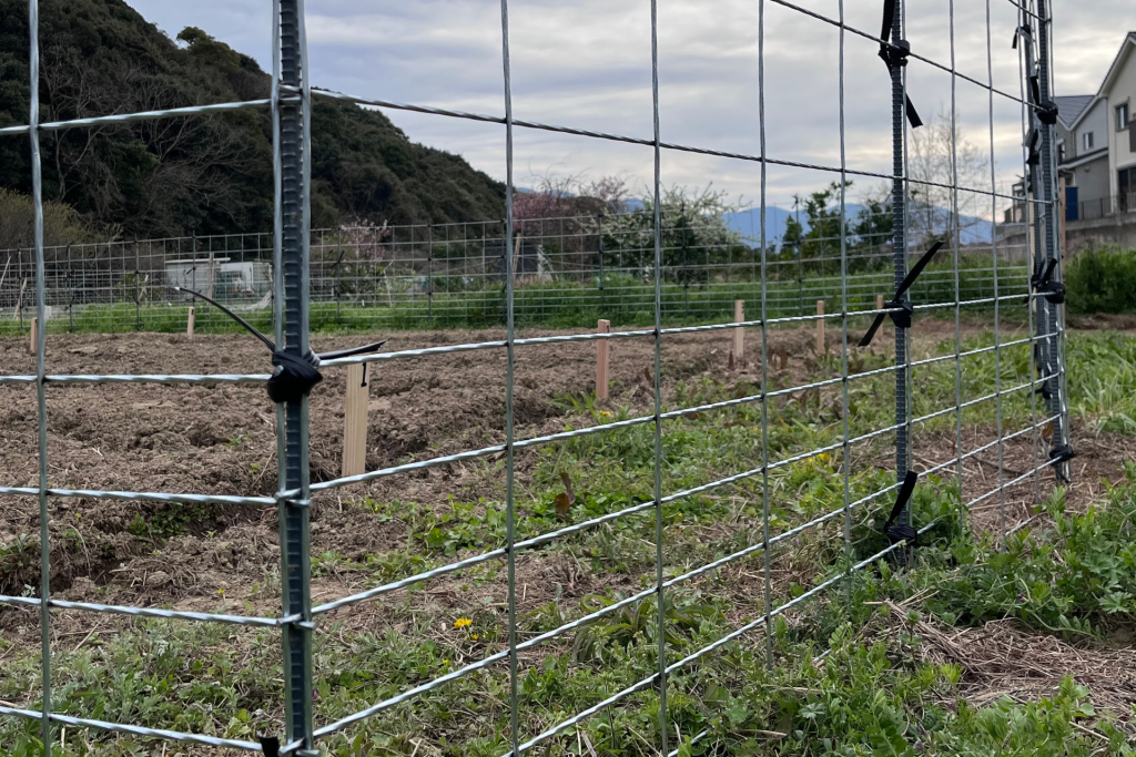 草が生い茂った耕作放棄地がきちんと整備された様子